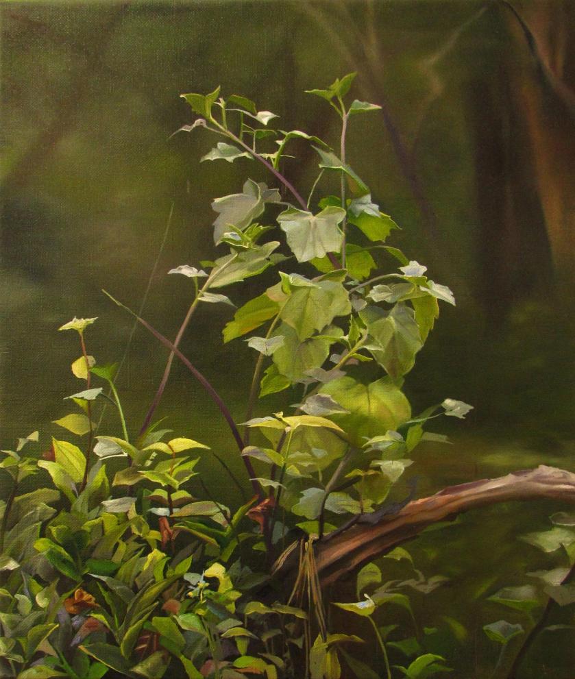 Untitled, Shannon Smiley