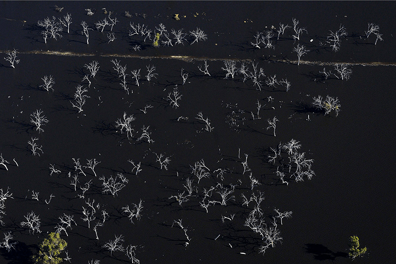 Droughtbreaker_M_Powell