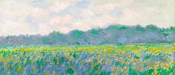 Field of Yellow Irises near Giverny - Claude Monet