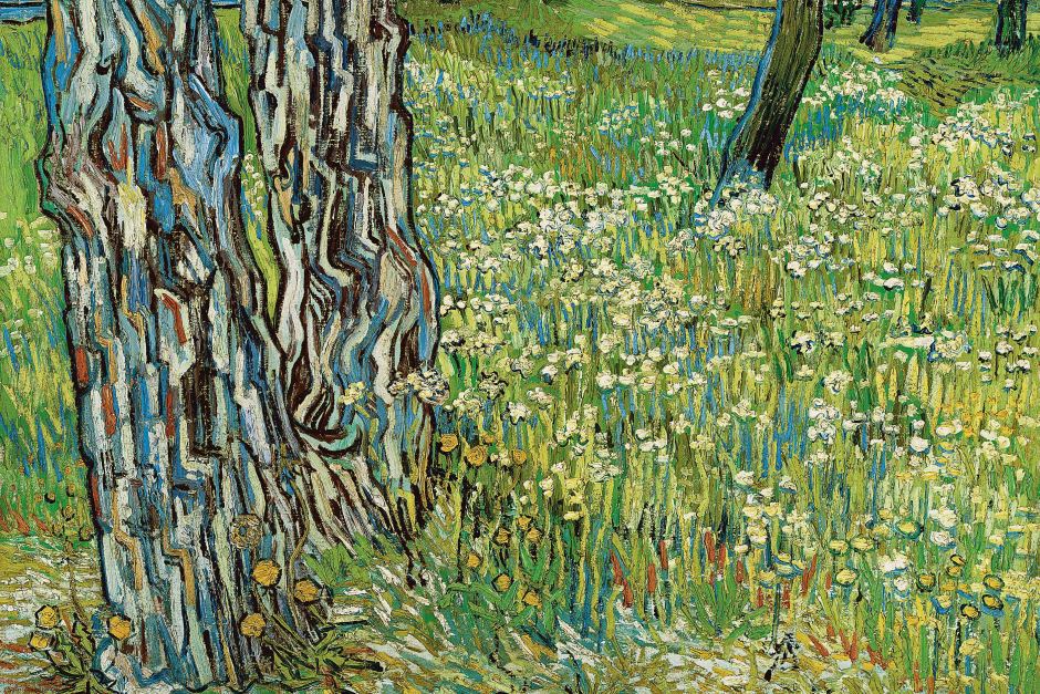 tree trunks and dandelions